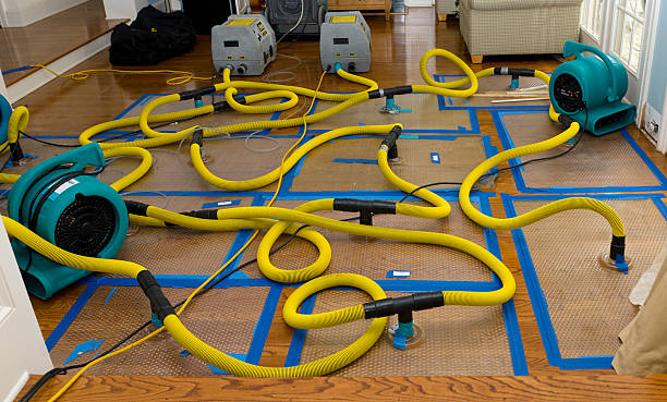 Professional Crawl Space Water Removal technician working in Faribault, MN